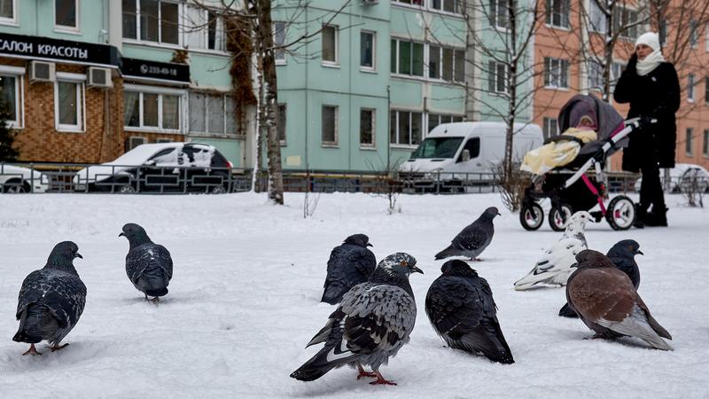 Фото: Mihail Siergiejevicz globallookpress.com