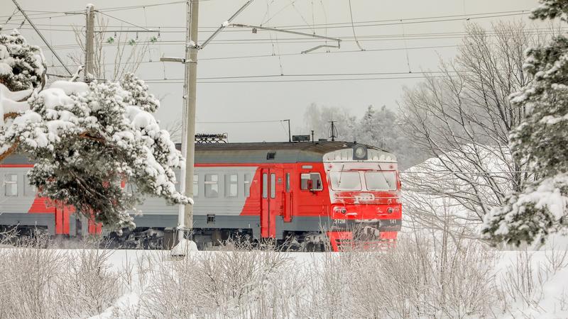 Фото: пресс-служба АО »СЗППК