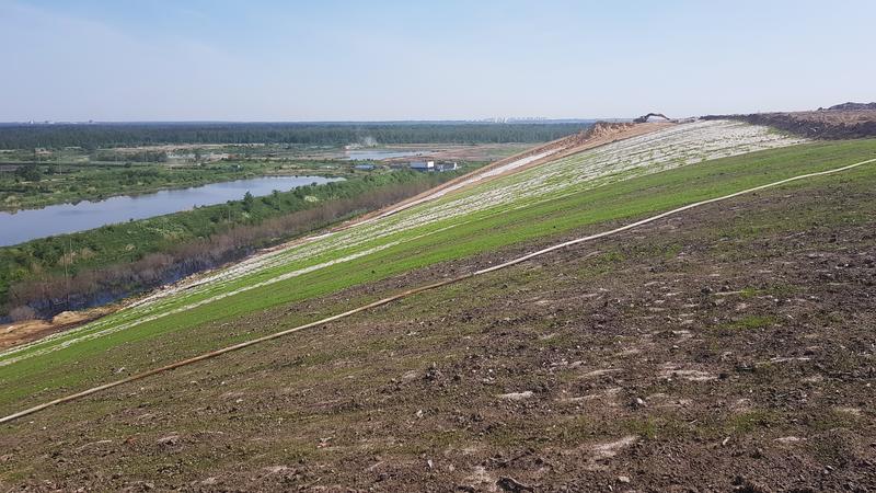 Фото: пресс-служба комитета по благоустройству Санкт-Петербурга