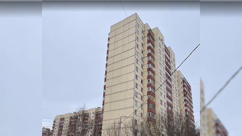 Фото: пресс-служба Росизол