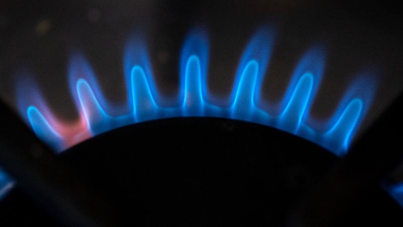 Фото: Marijan Murat globallookpress.com