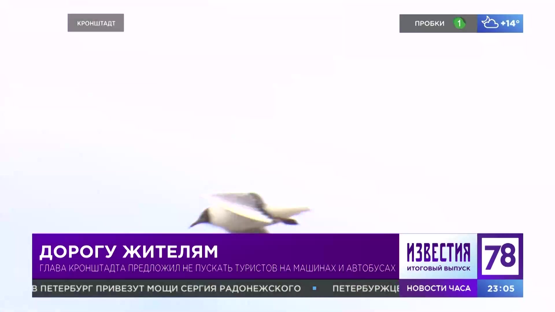 Дорогу жителям: глава Кронштадта предложил не пускать туристов на машинах и  автобусах