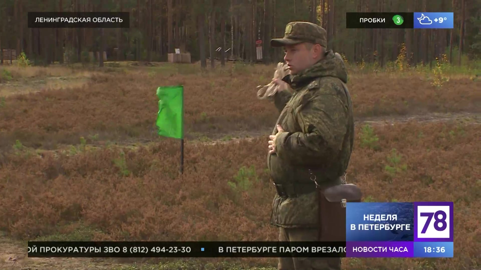 На полигоне под Лугой проходит боевое слаживание мобилизованных в  Петербурге и Ленобласти