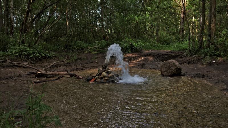 Фото: vk.com nevablog