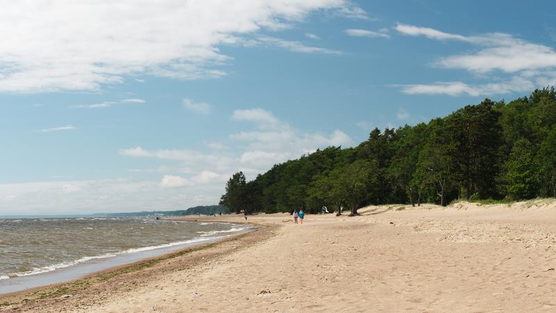 Фото: wikipedia.org