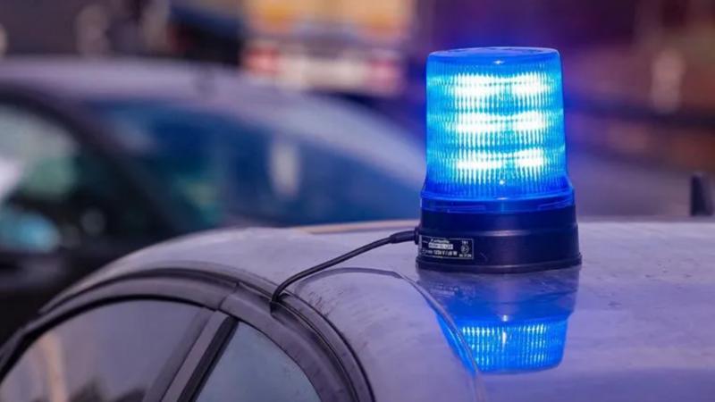 Фото: Tino Plunert globallookpress.com