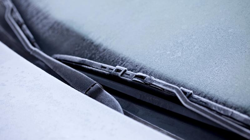 Фото: H.-D. Falkenstein globallookpress.com