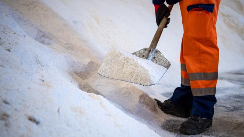 Фото: Sina Schuldt globallookpress.com