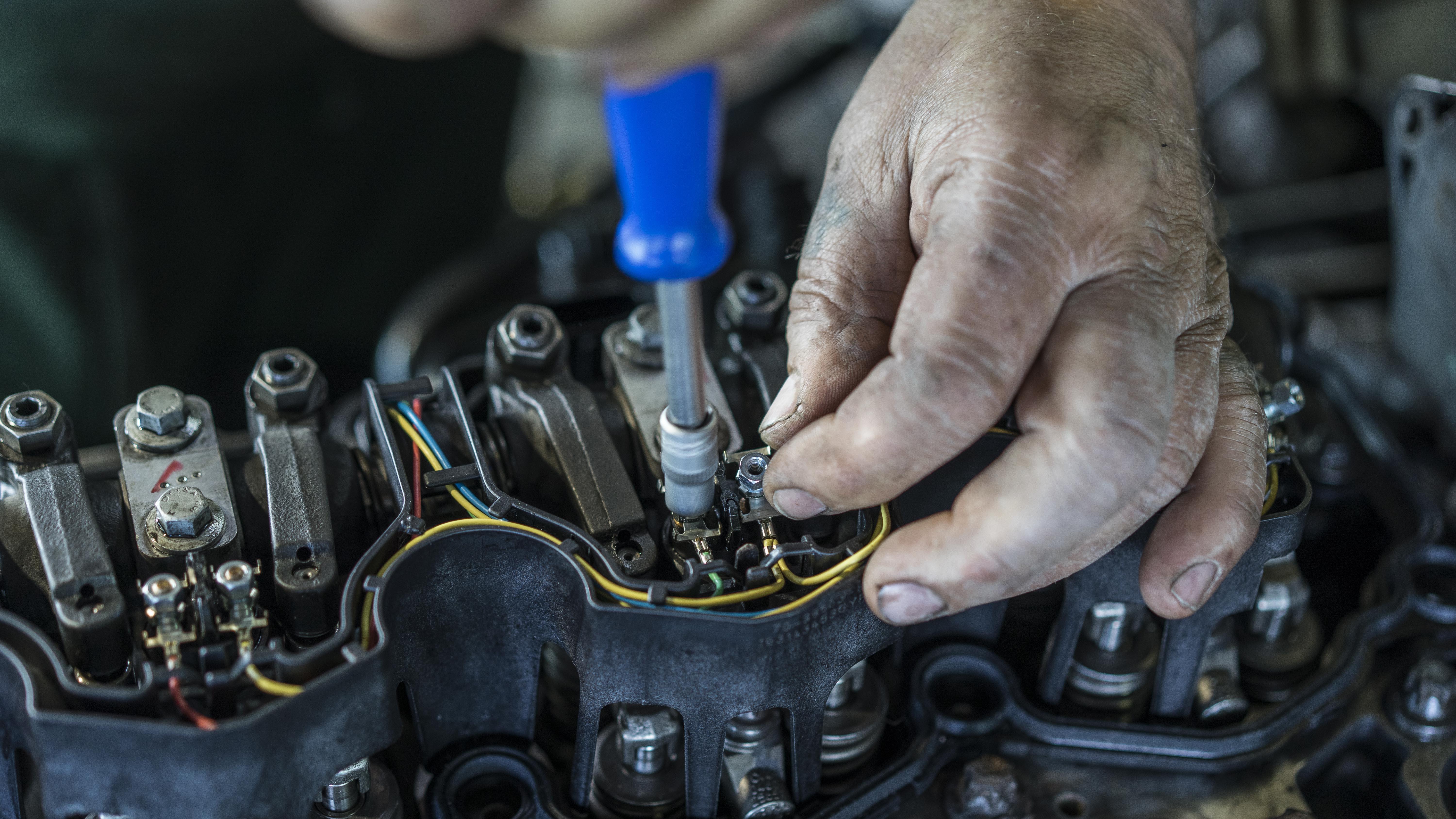 Фото: Ekim globallookpress.com