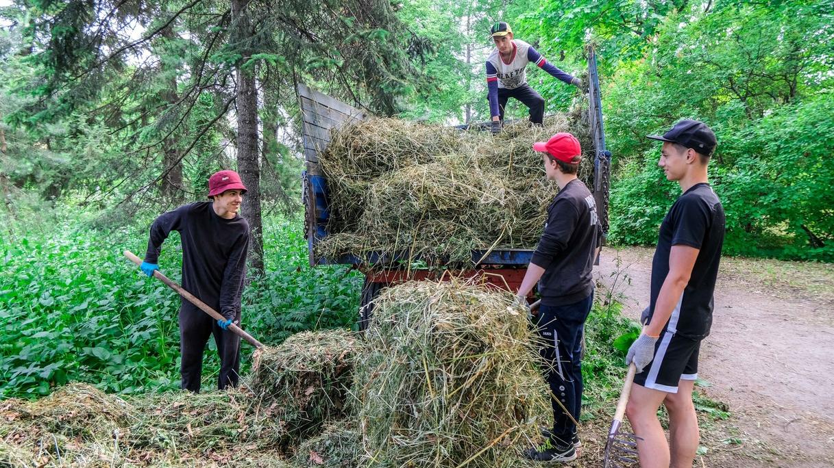 Работа для подростков: какие зарплаты и вакансии предлагают школьникам в  Петербурге и ЛО