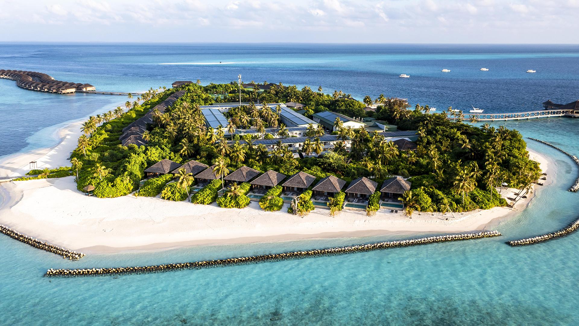 Фото: Martin Moxter globallookpress.com