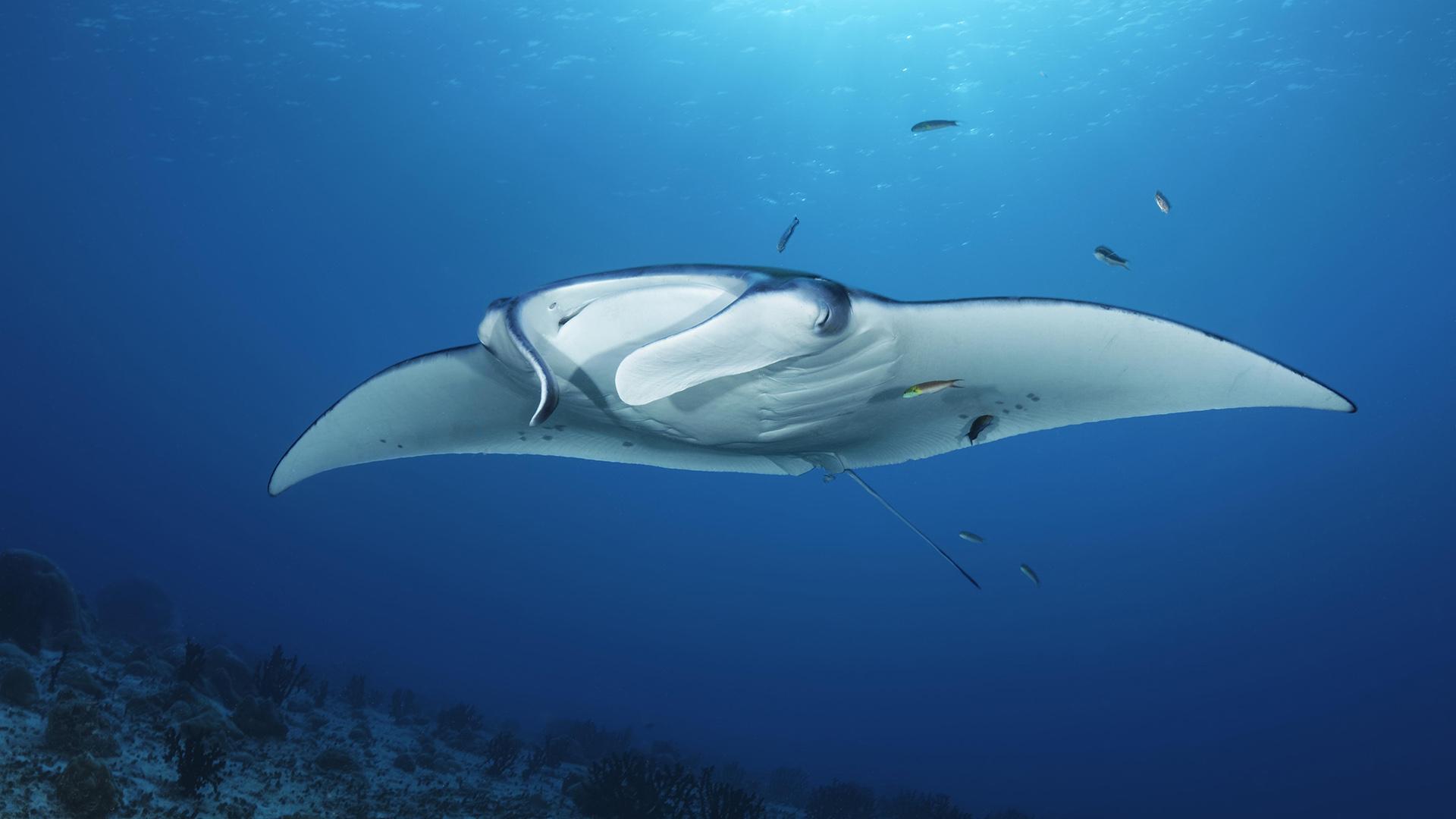 Фото: Norbert Probst globallookpress.com