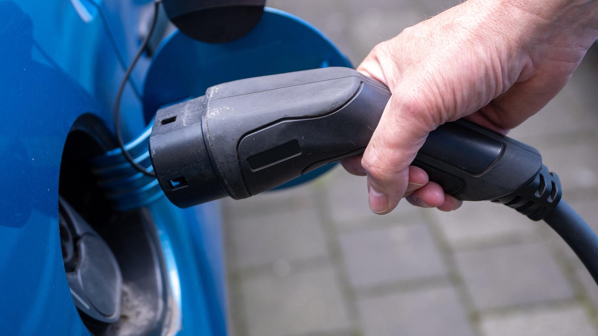 Фото: Monika Skolimowska globallookpress.com