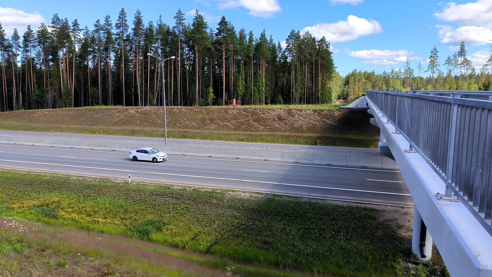 Фото: Maksim Konstantinov globallookpress.com