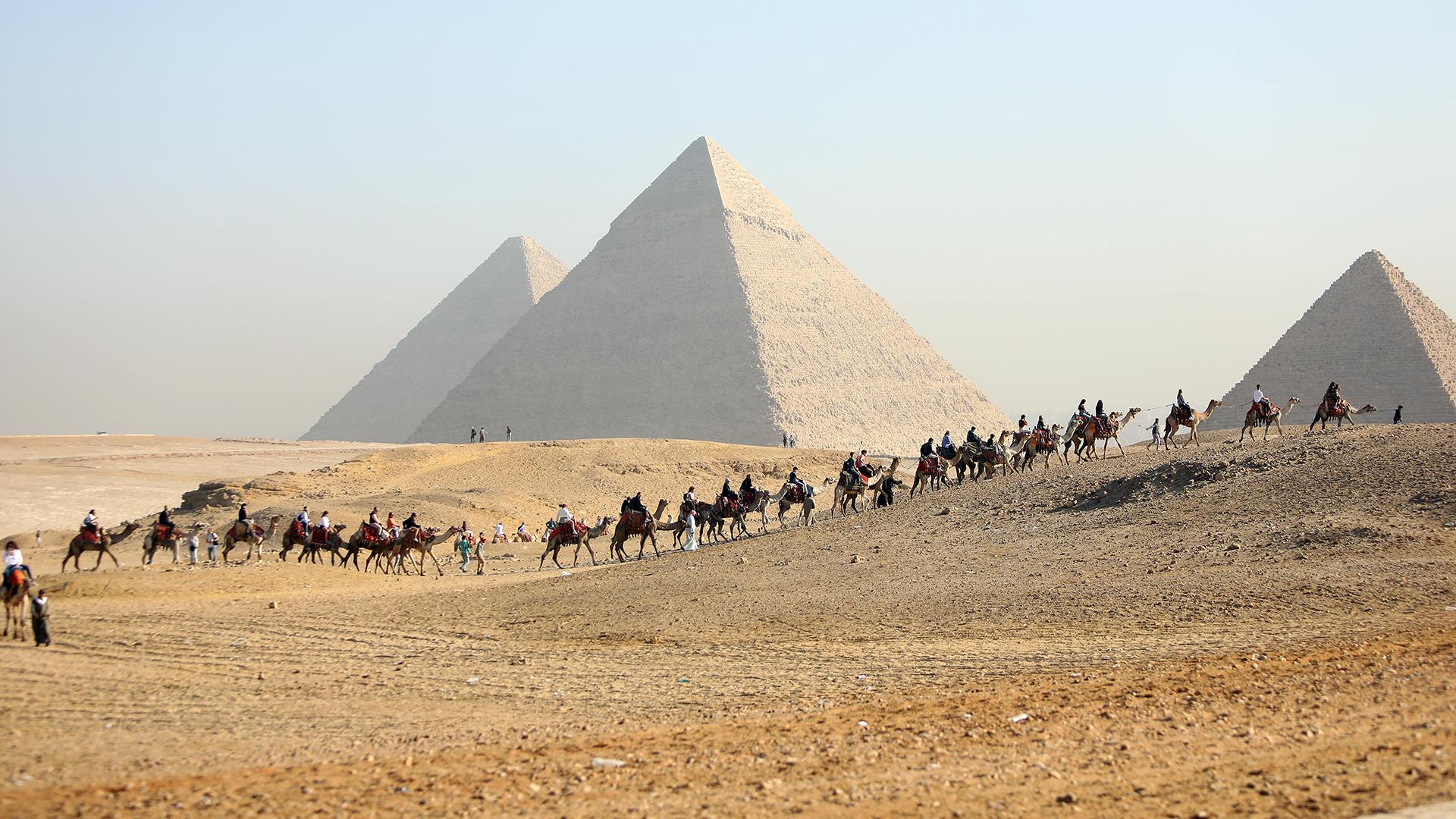 Фото: Ahmed Gomaa globallookpress.com