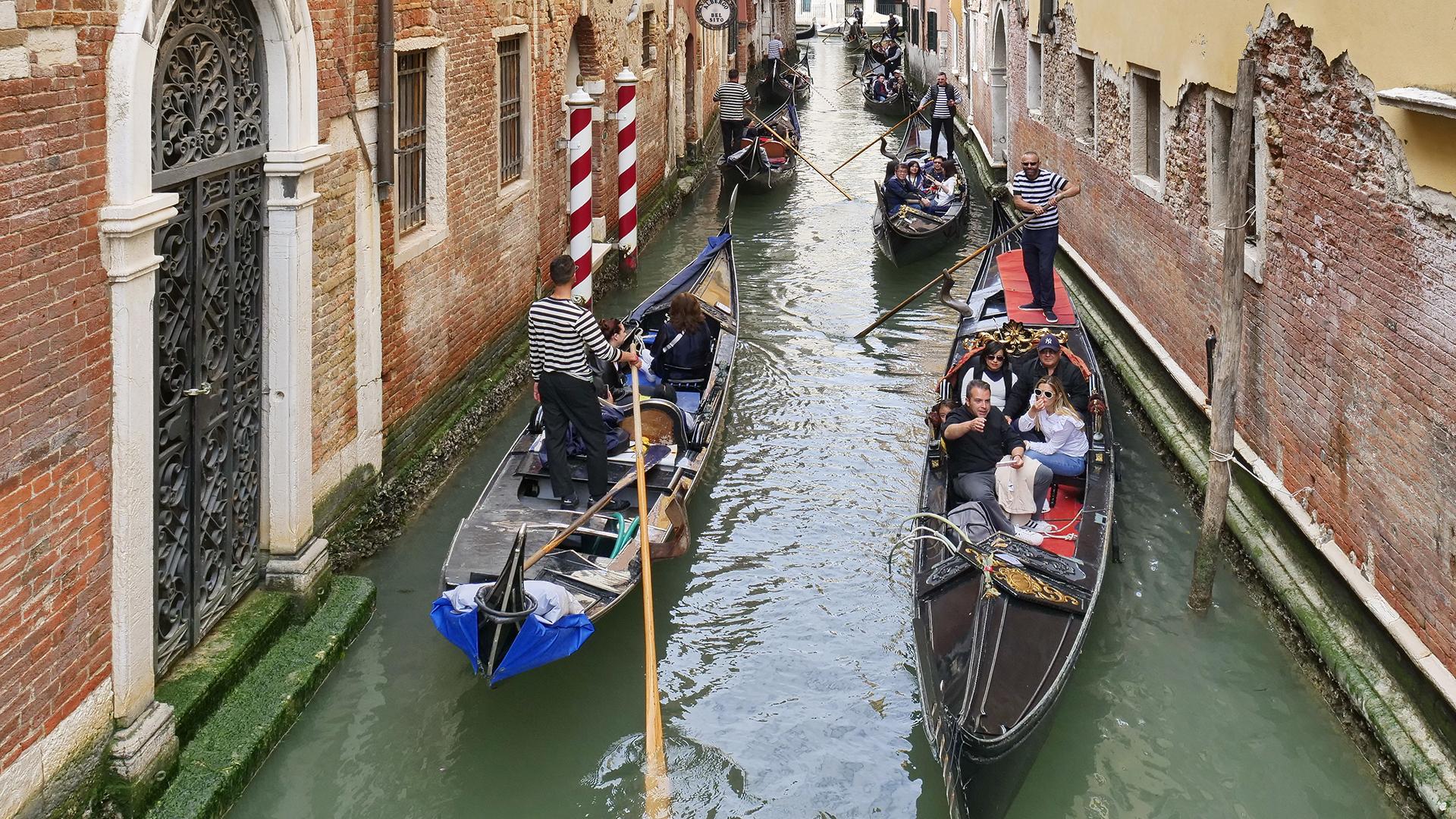 Фото: Moritz Wolf globallookpress.com