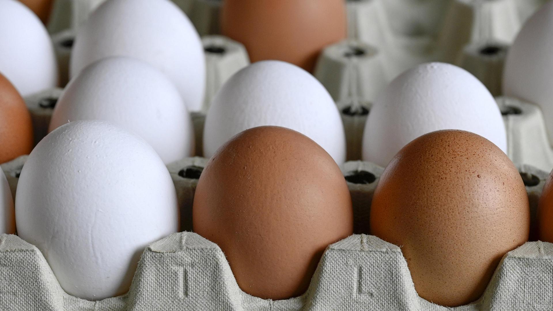 Почему подорожали яйца: все причины стремительного роста цен