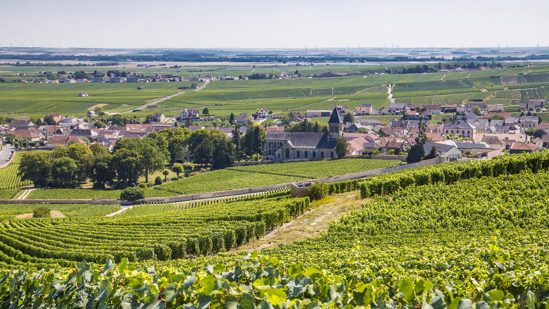 Фото: Hans-Werner Rodrian globallookpress.com