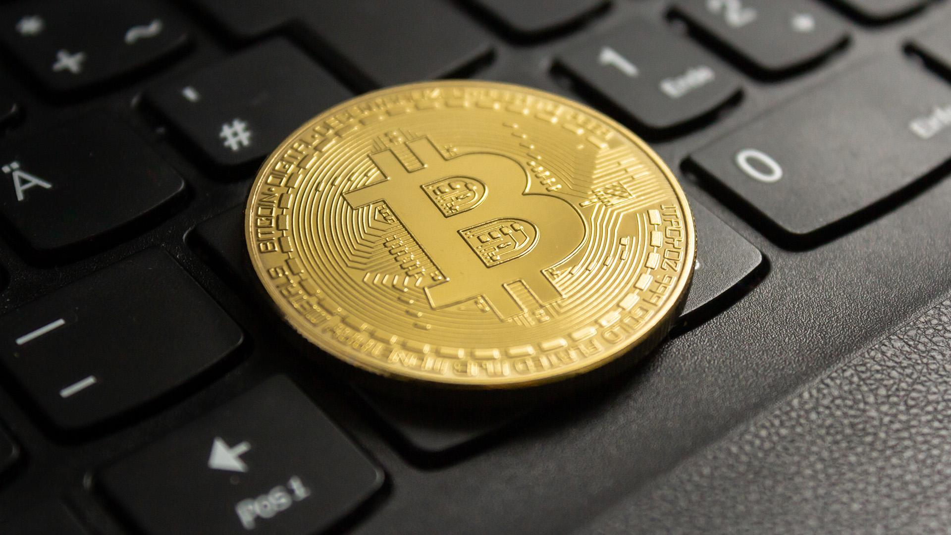 Фото: freepik.com wirestock