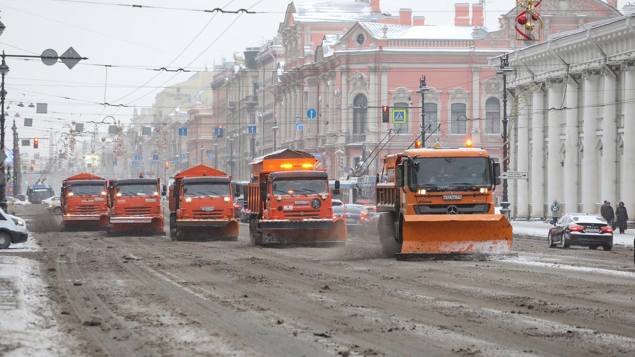 Фото: пресс-служба комитета по благоустройству Санкт-Петербурга