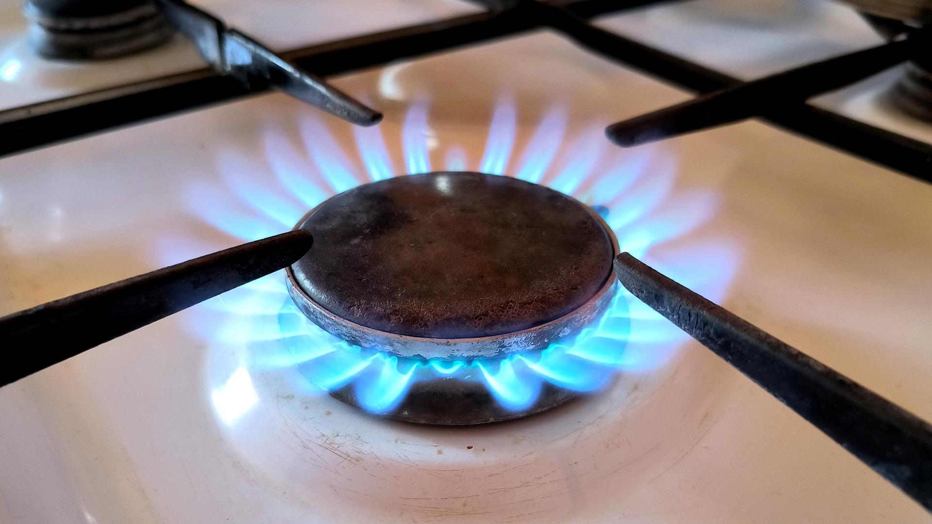 Фото: Maksim Konstantinov globallookpress.com