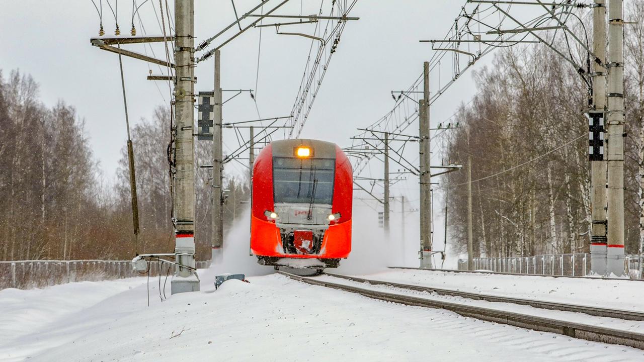 Фото: пресс-служба АО »СЗППК