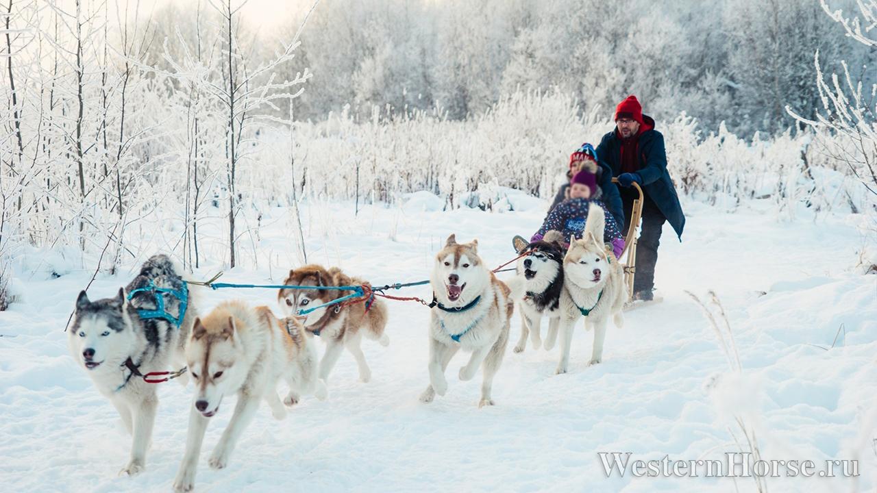 Фото: vk.com Конный клуб »Western Horse