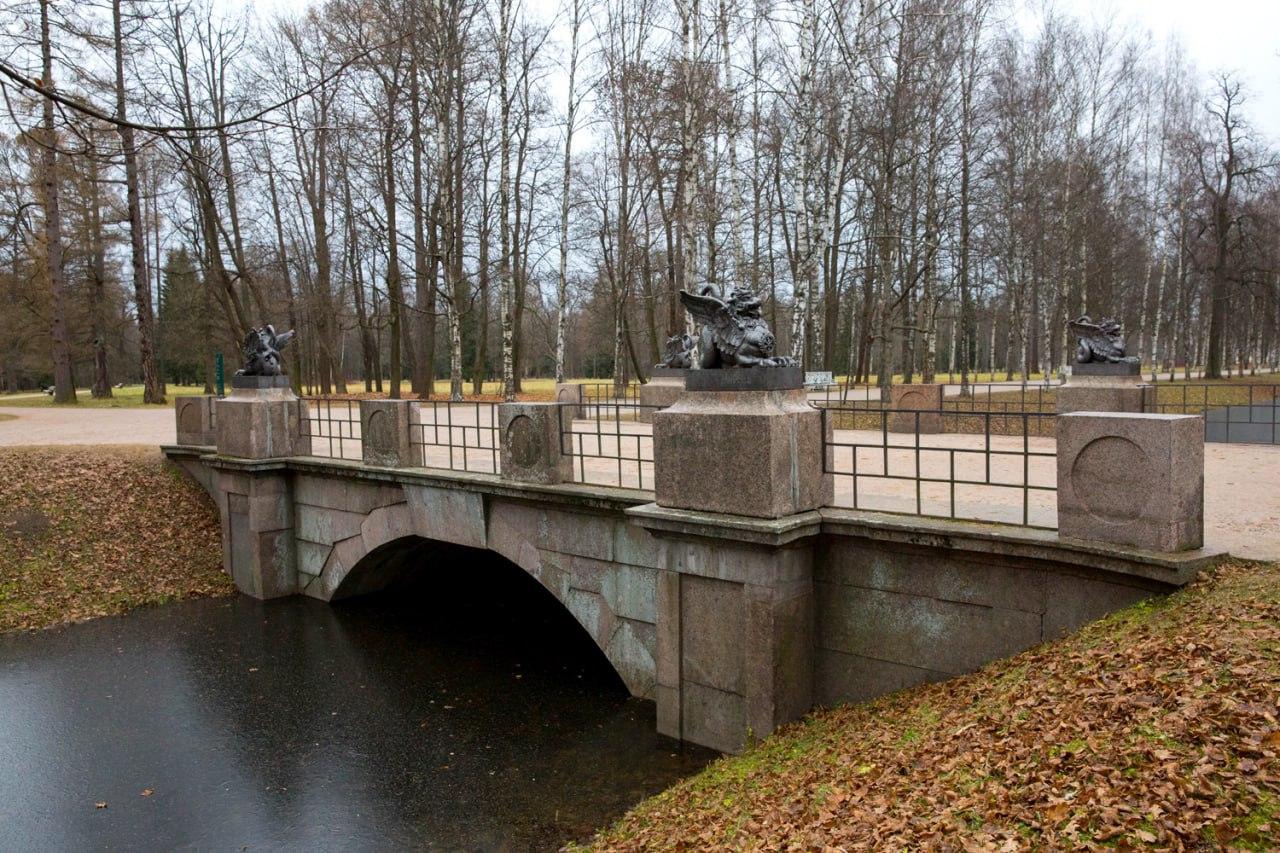 Где в Петербурге отпраздновать Китайский Новый год, найти драконов и  окунуться в Азию