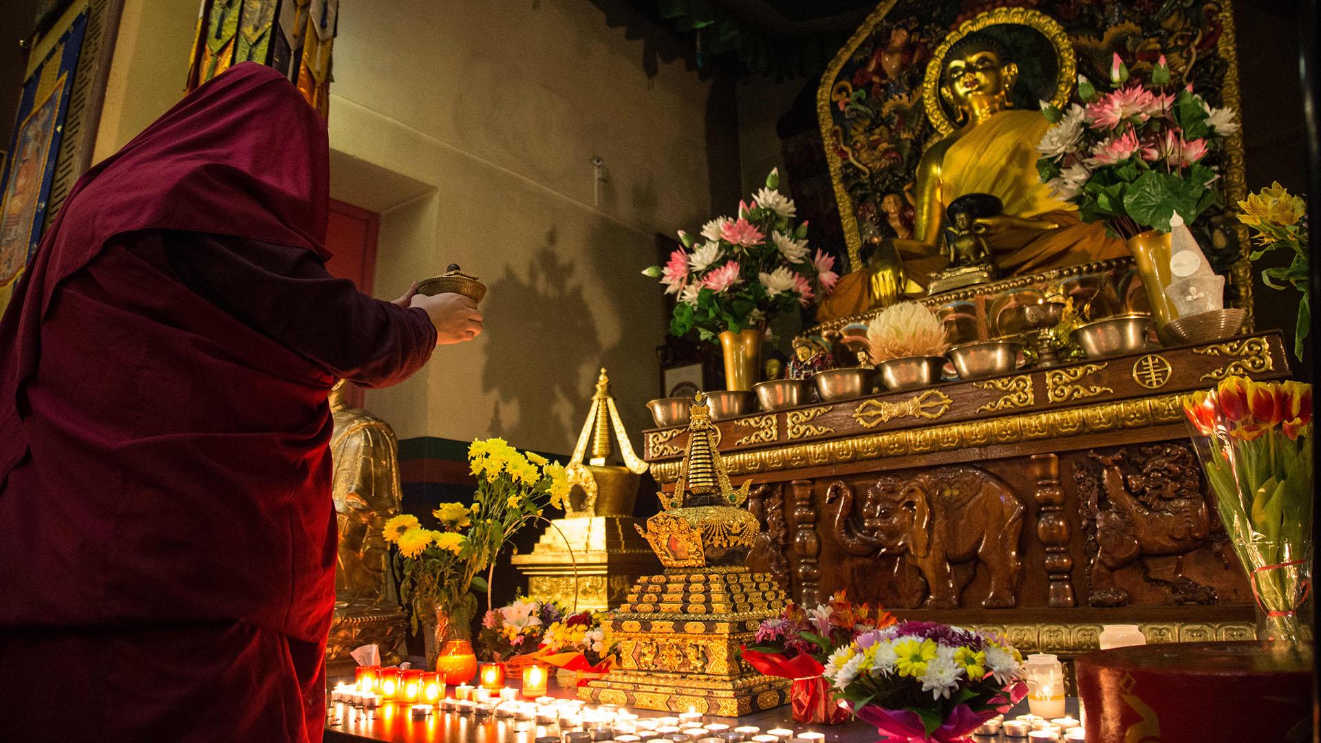 Фото: Igor Russak globallookpress.com