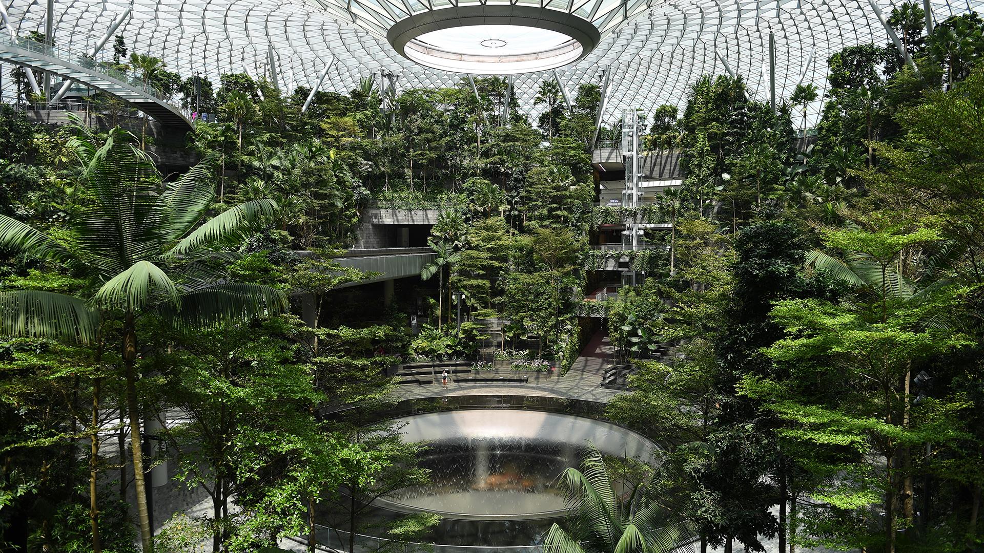 Фото: Haruhiko Otsuka globallookpress.com