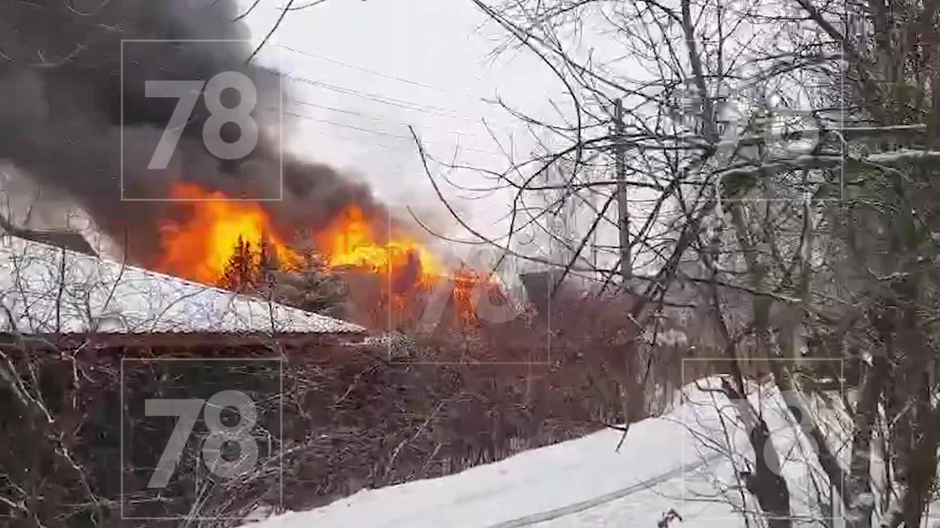 Жилой дом охватило ярким пламенем в Сестрорецке – видео