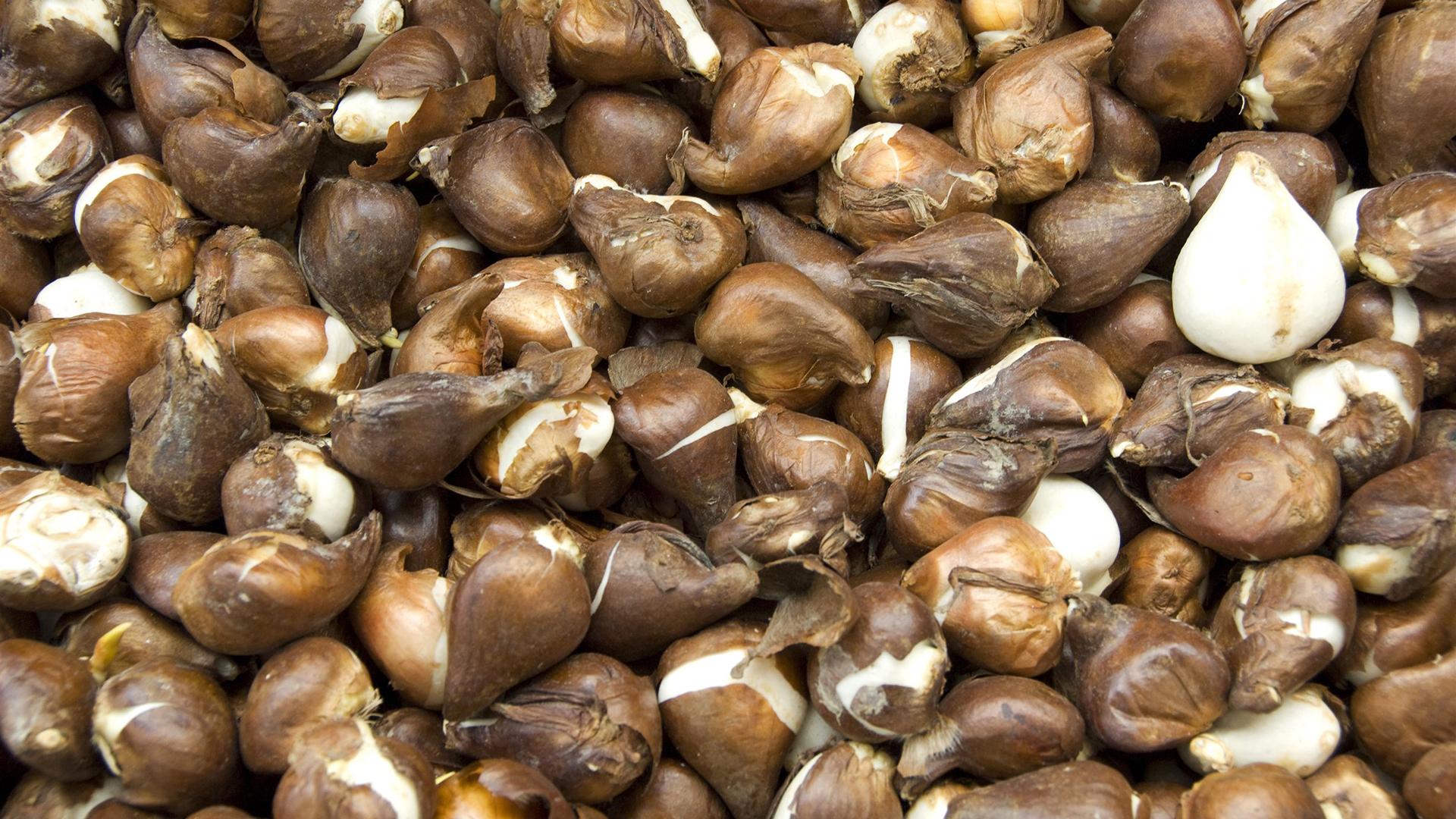 Фото: DanitaDelimont.com globallookpress.com