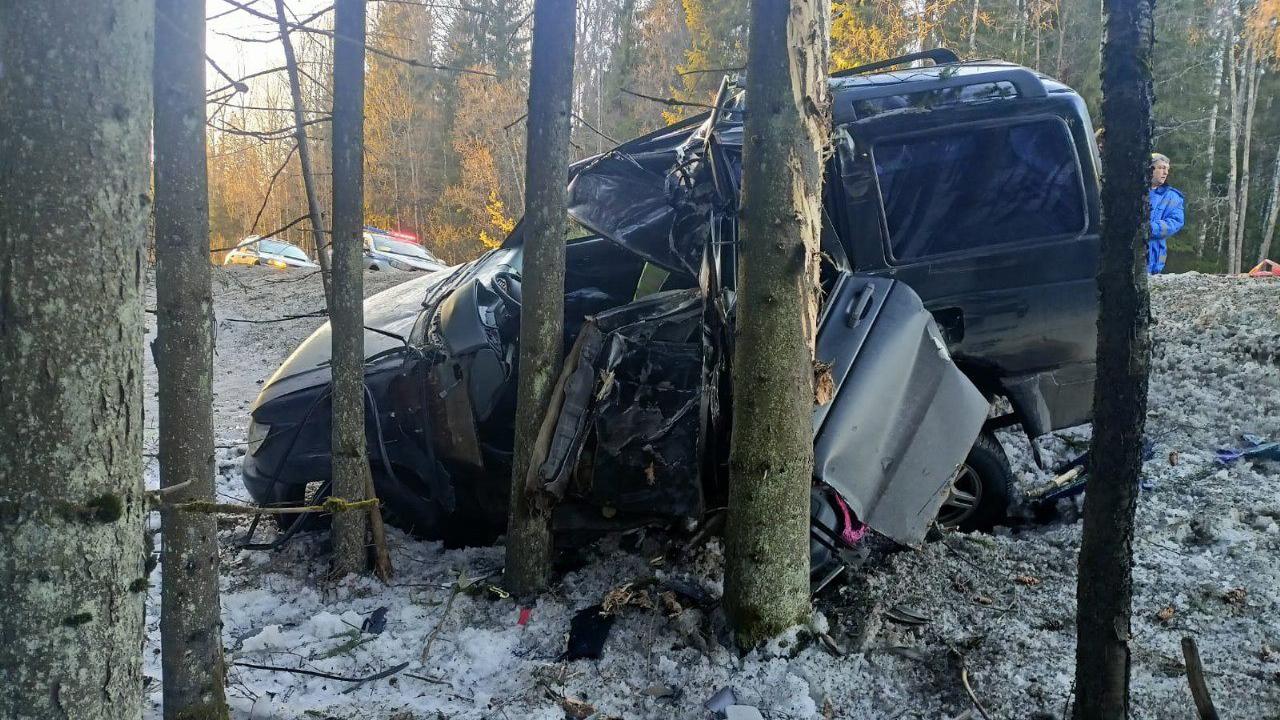 Сергей Морозов поздравит победителей акции «Роди патриота в День России»