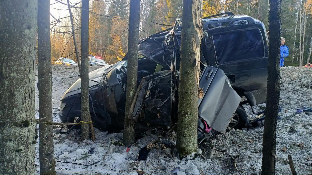 Смертельная авария на Петергофском и лишившаяся ног петербурженка: подборка  ДТП недели