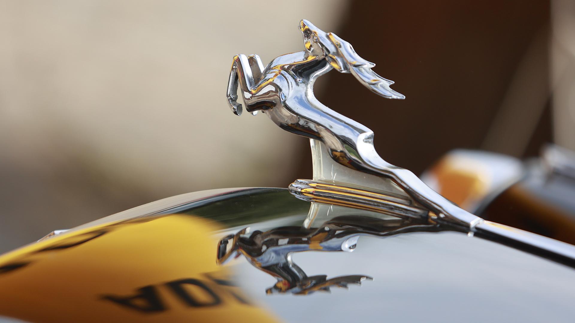 Фото: Matthias Bein globallookpress.com