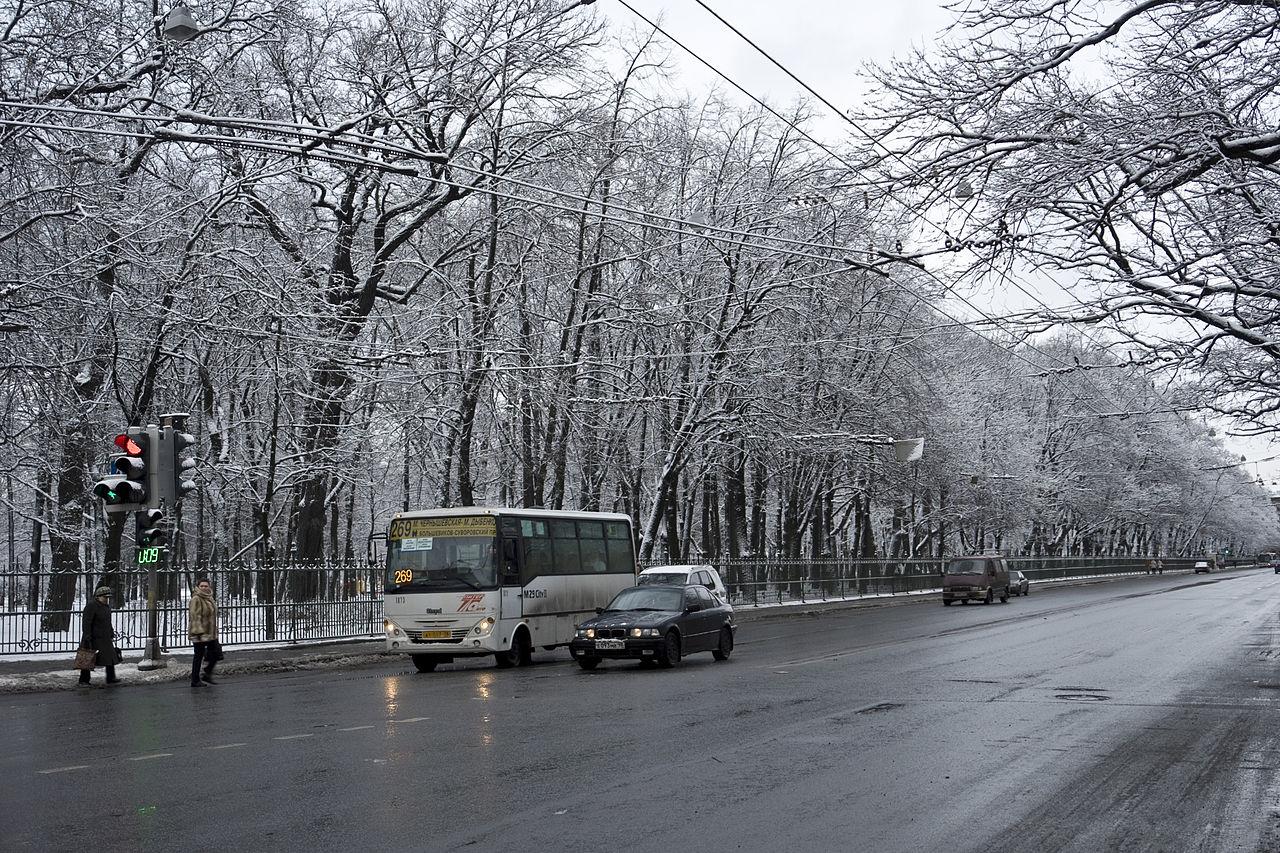 фото: wikipedia.org   George Shuklin