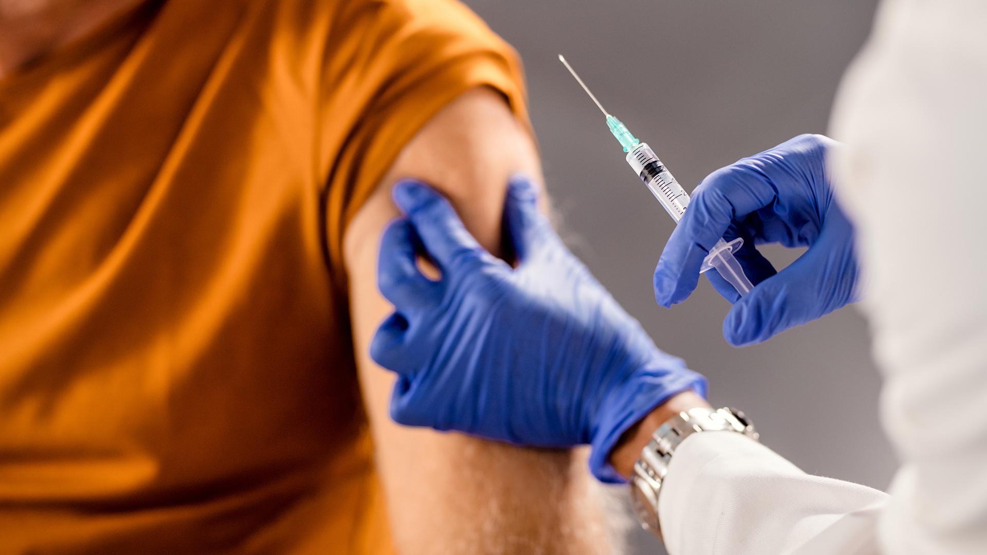 Фото: freepik.com Drazen Zigic