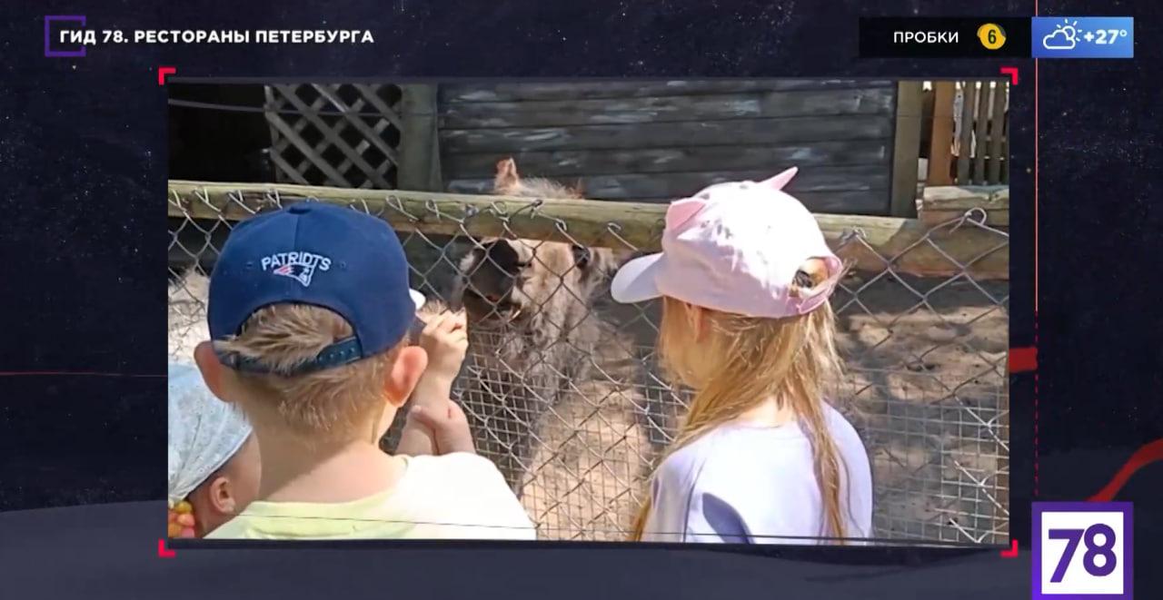 Пресная еда и обсуждение гостей: стоит ли посещать ресторан «Русская рыбалка»  в Комарово