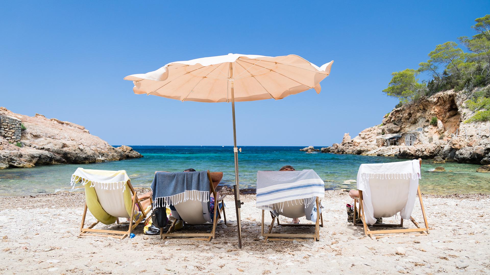 Фото: freepik.com wirestock