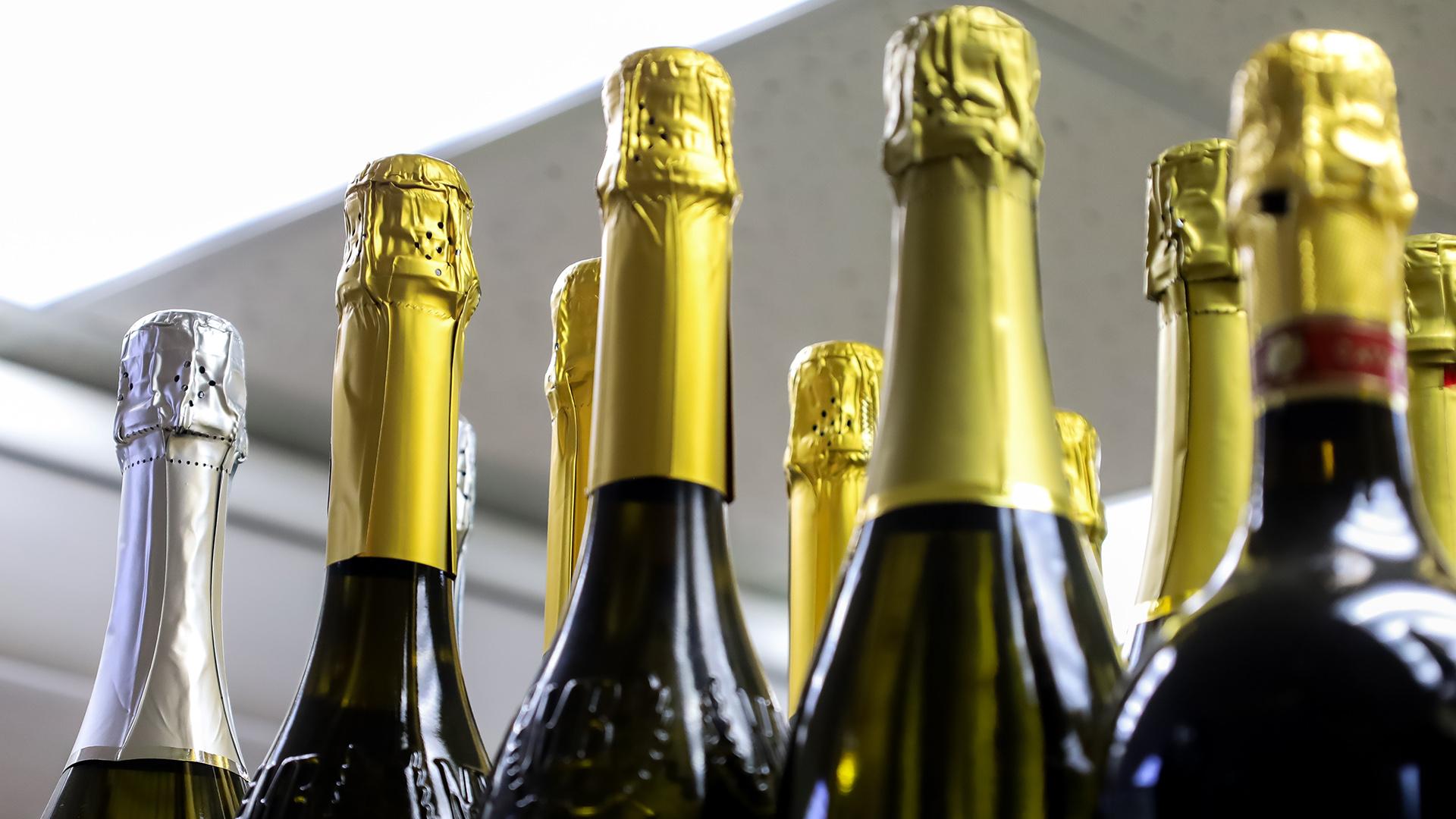 Фото: Elena Mayorova globallookpress.com