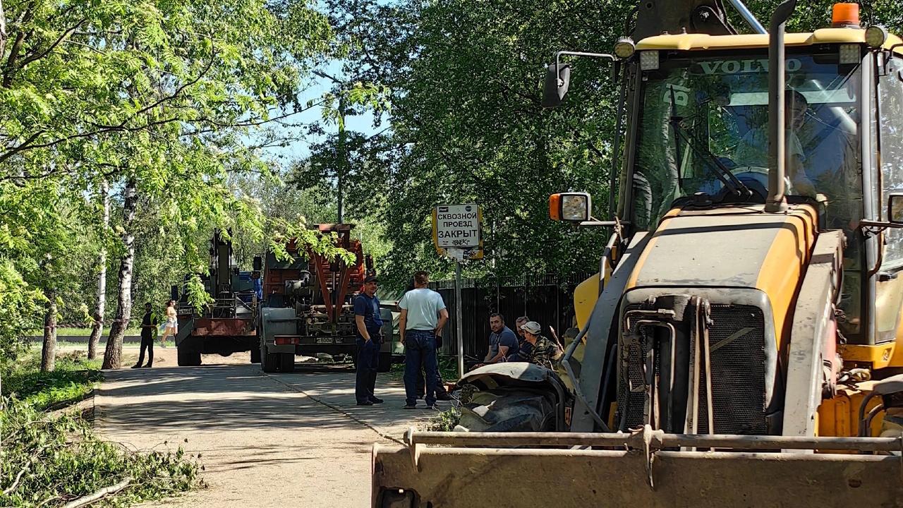 Полиция приехала на вырубку деревьев в парке Оккервиль в Кудрово