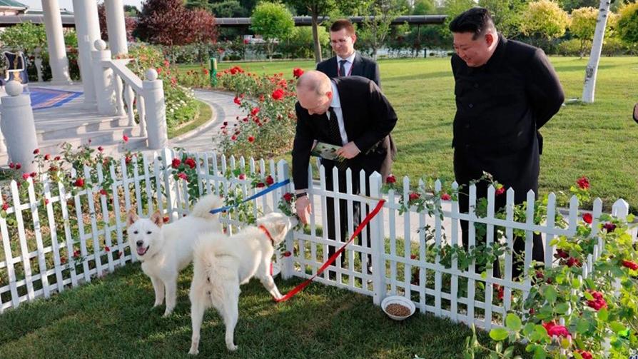 Фото: KCNA