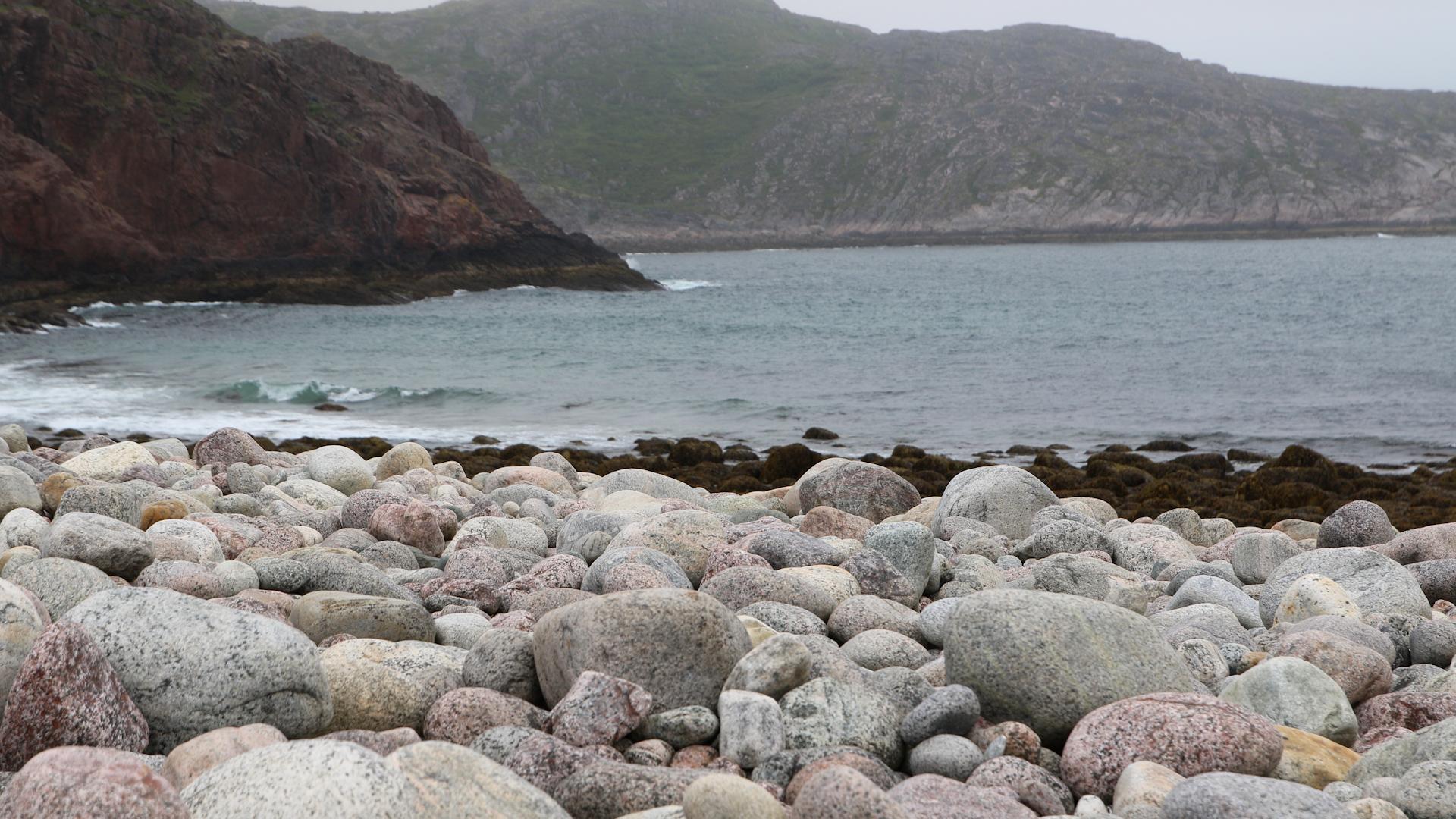 Фото: Maksim Konstantinov Globallookpress.com