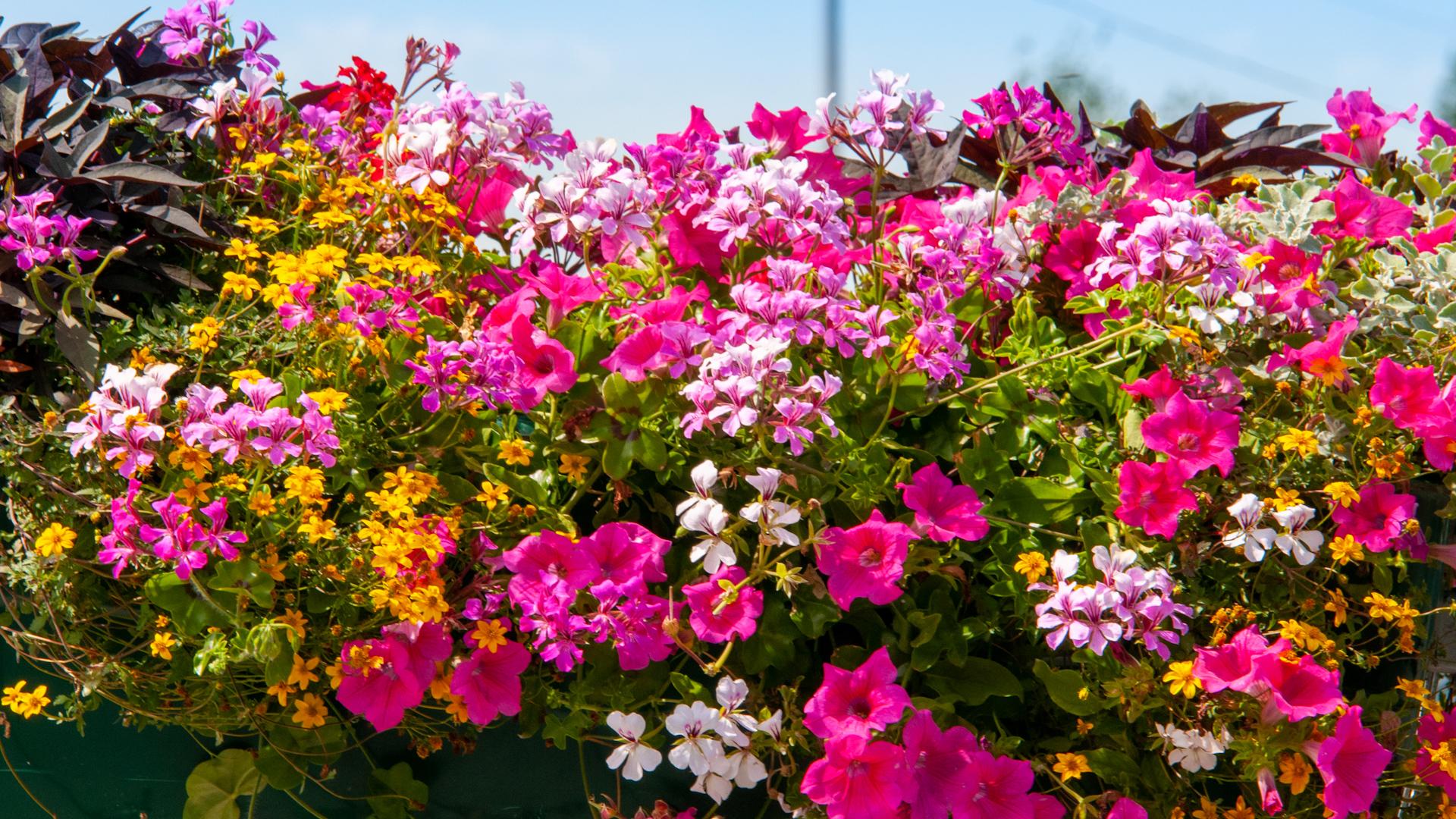 Фото: Svetlana Vozmilova Globallookpress.com