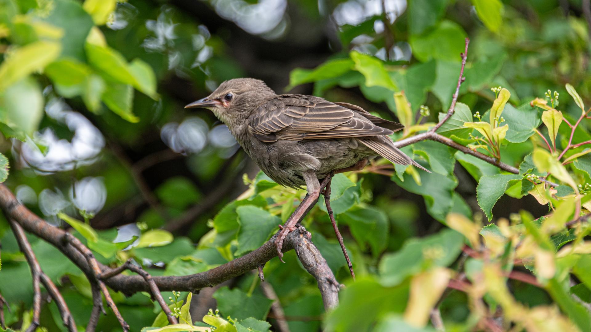 Фото: Komsomolskaya Pravda Globallookpress.com