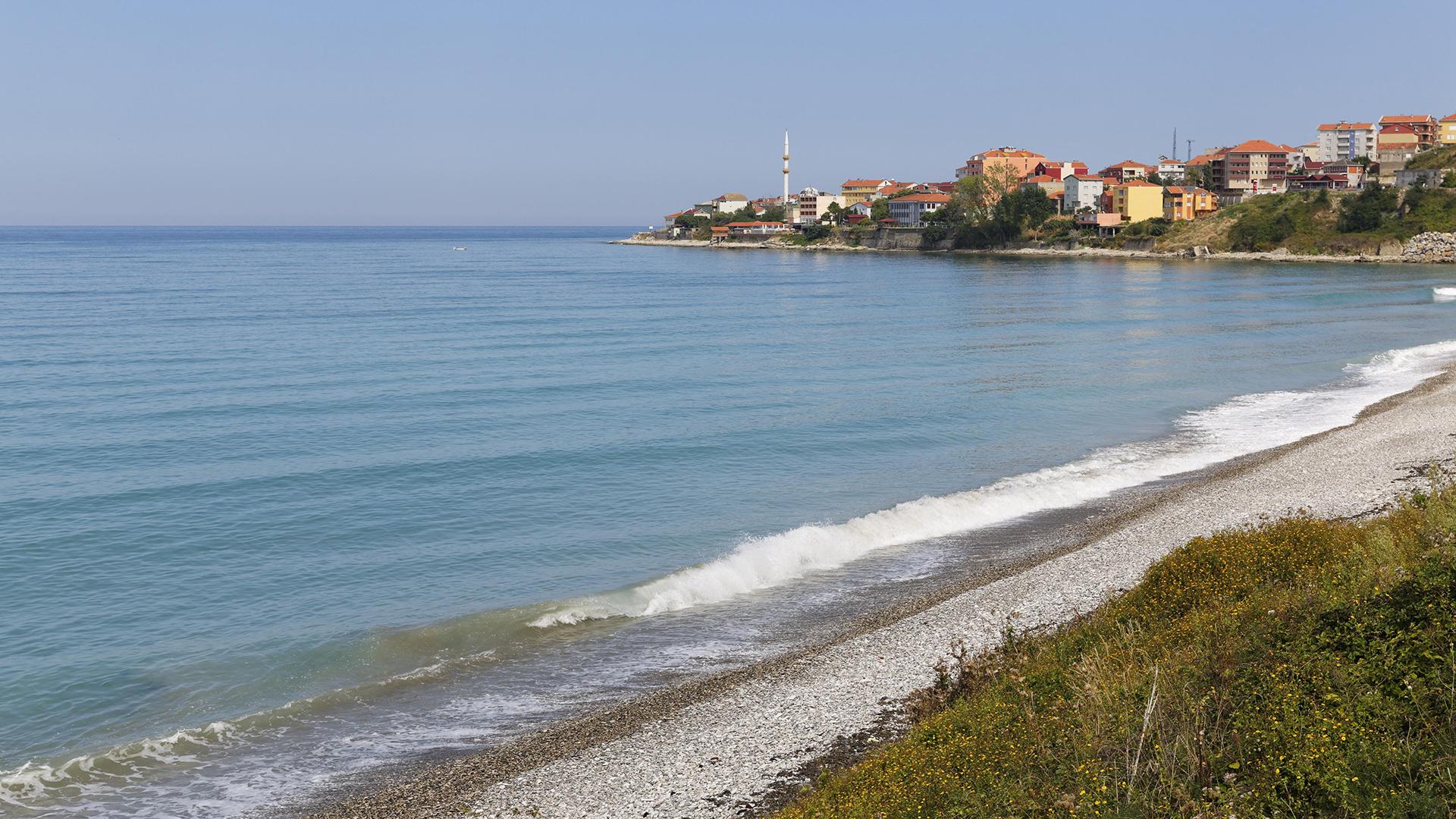 Фото: Martin Siepmann globallookpress.com