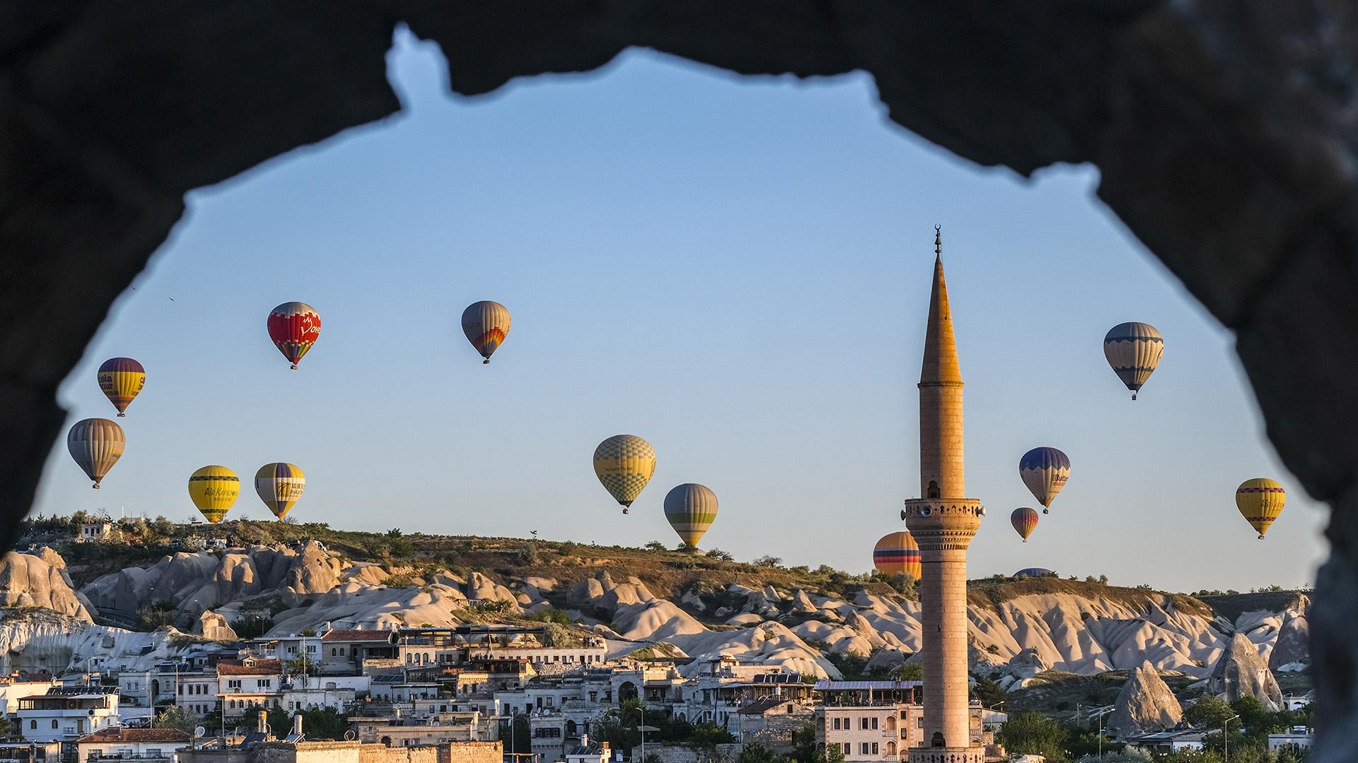 Фото: Jens Kalaene globallookpress.com