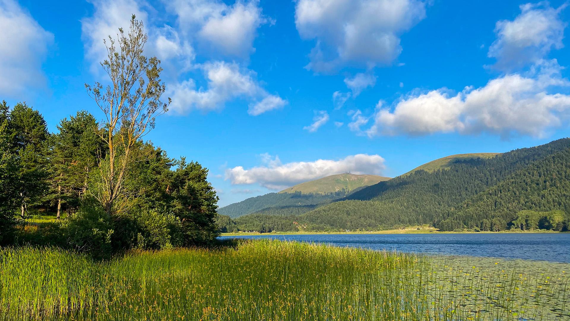 Фото: wikimedia.org Hakki Serdar Sagdic; CC BY-SA 4.0