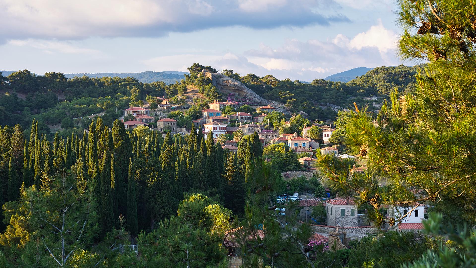 Фото: wikipedia.org Claus P. Heibel; CC BY 2.0