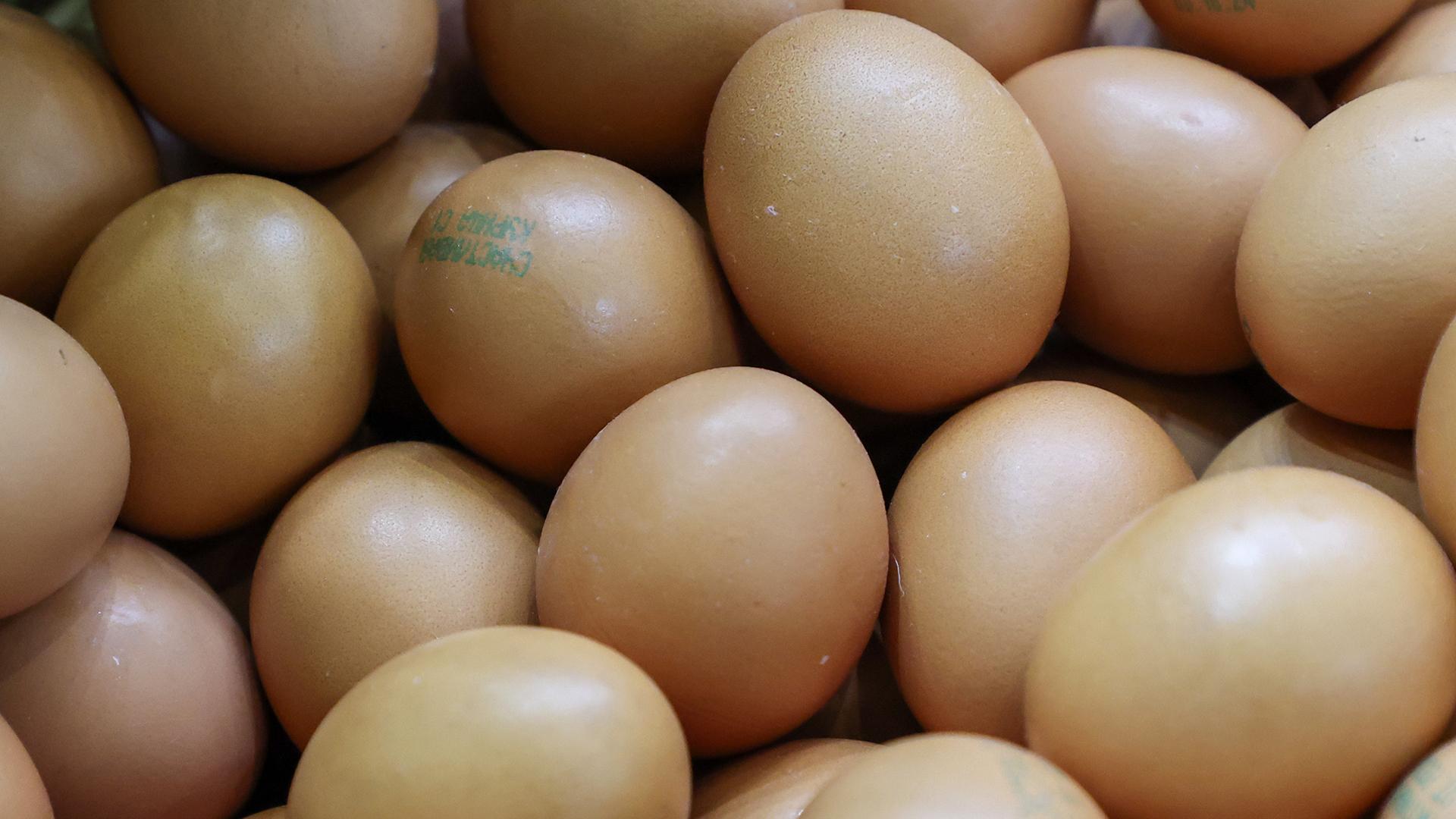 Фото: Belkin Alexey globallookpress.com